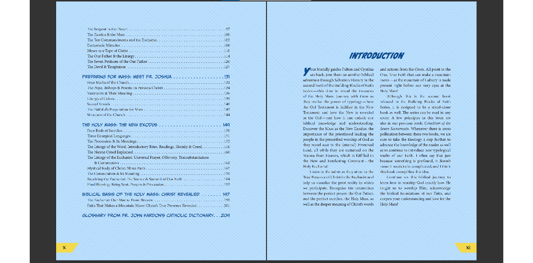 The Holy Mass: On Earth As It Is In Heaven - 240 page Book