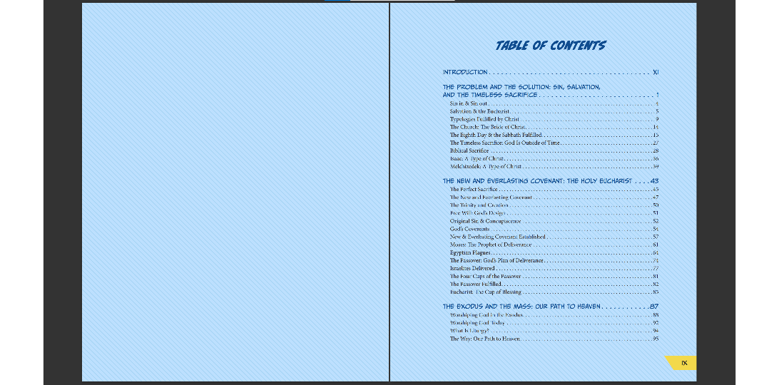 The Holy Mass: On Earth As It Is In Heaven - 240 page Book
